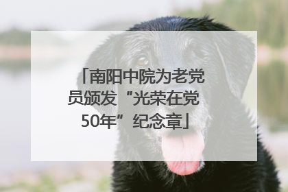 南阳中院为老党员颁发“光荣在党50年”纪念章