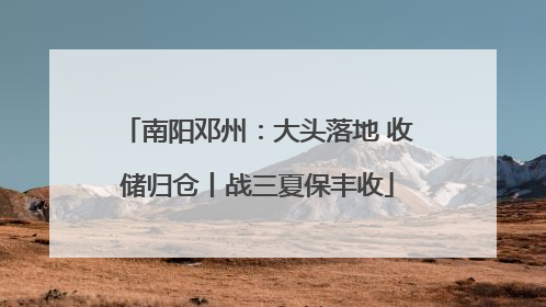 南阳邓州：大头落地 收储归仓丨战三夏保丰收