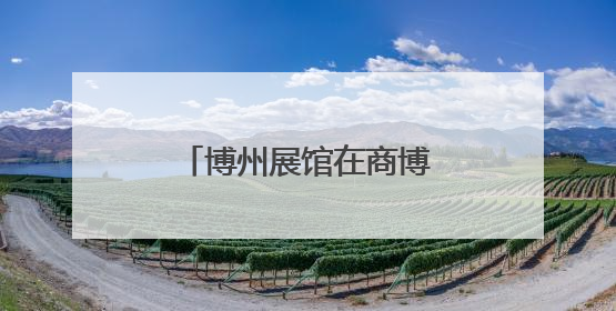 博州展馆在商博会上实力抢镜！