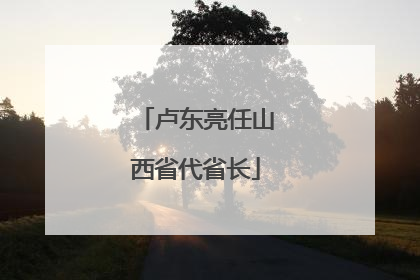 卢东亮任山西省代省长