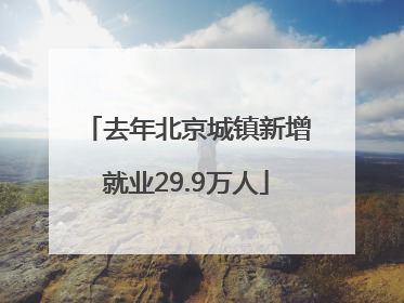 去年北京城镇新增就业29.9万人
