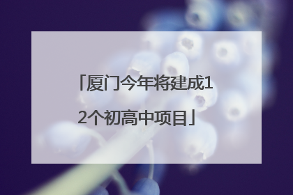 厦门今年将建成12个初高中项目