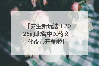养生新玩法！2025河北省中医药文化夜市开幕啦