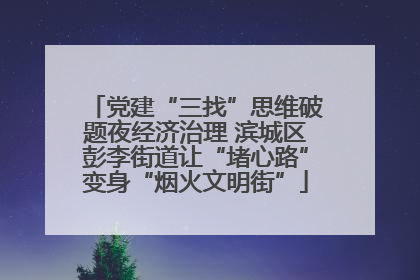 党建“三找”思维破题夜经济治理 滨城区彭李街道让“堵心路”变身“烟火文明街”