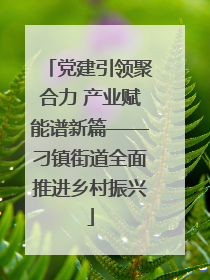 党建引领聚合力 产业赋能谱新篇——刁镇街道全面推进乡村振兴