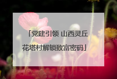 党建引领 山西灵丘花塔村解锁致富密码