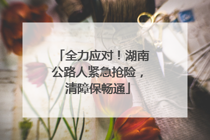 全力应对！湖南公路人紧急抢险，清障保畅通