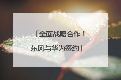 全面战略合作！东风与华为签约