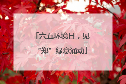 六五环境日，见“郑”绿意涌动