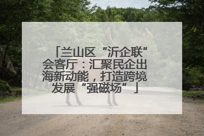 兰山区“沂企联”会客厅：汇聚民企出海新动能，打造跨境发展“强磁场”
