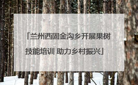 兰州西固金沟乡开展果树技能培训 助力乡村振兴