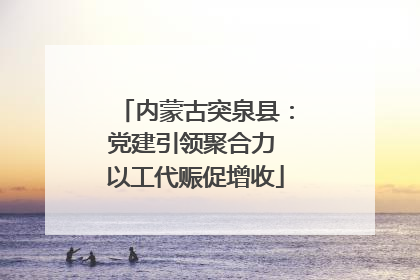 内蒙古突泉县：党建引领聚合力 以工代赈促增收