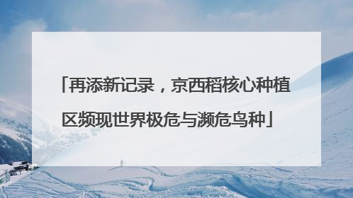 再添新记录，京西稻核心种植区频现世界极危与濒危鸟种
