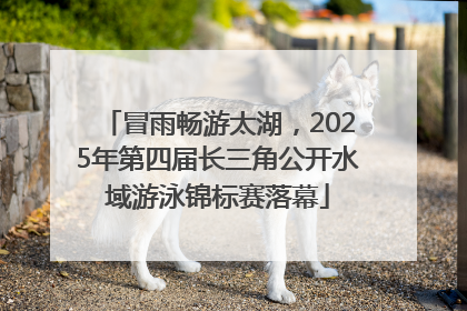 冒雨畅游太湖，2025年第四届长三角公开水域游泳锦标赛落幕