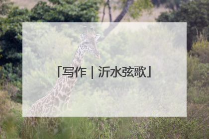 写作｜沂水弦歌