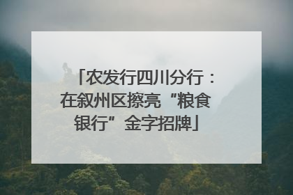 农发行四川分行：在叙州区擦亮“粮食银行”金字招牌