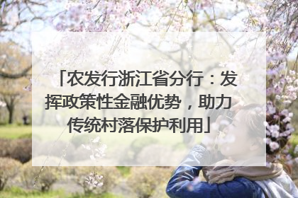 农发行浙江省分行：发挥政策性金融优势，助力传统村落保护利用