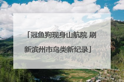 冠鱼狗现身山航院 刷新滨州市鸟类新纪录