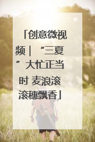 创意微视频｜“三夏”大忙正当时 麦浪滚滚穗飘香