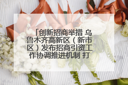 创新招商举措 乌鲁木齐高新区（新市区）发布招商引资工作协调推进机制 打造投资发展新高地