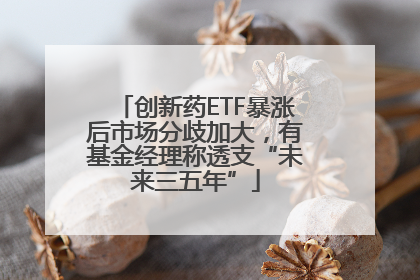 创新药ETF暴涨后市场分歧加大，有基金经理称透支“未来三五年”