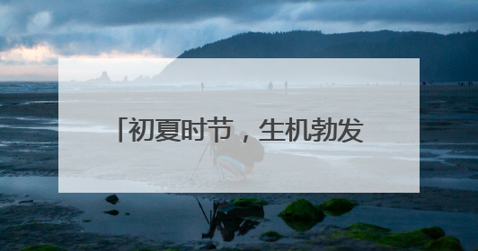 初夏时节，生机勃发，幼儿园里活动多！