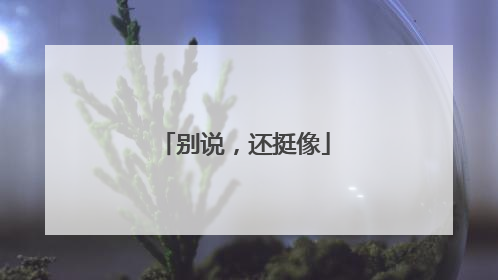 别说，还挺像