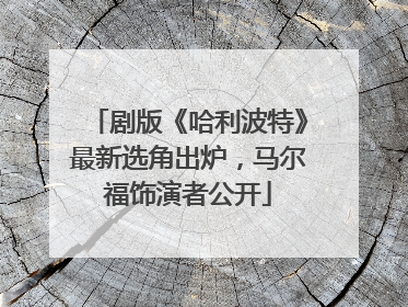 剧版《哈利波特》最新选角出炉，马尔福饰演者公开