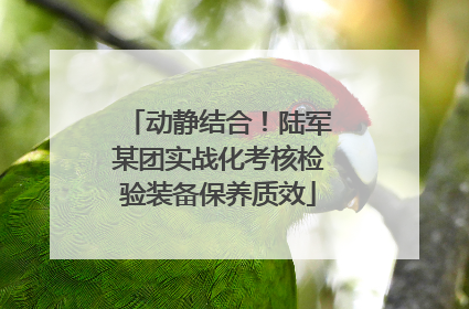 动静结合！陆军某团实战化考核检验装备保养质效