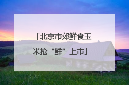 北京市郊鲜食玉米抢“鲜”上市