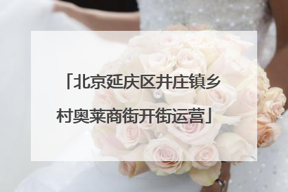 北京延庆区井庄镇乡村奥莱商街开街运营