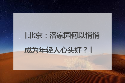北京：潘家园何以悄悄成为年轻人心头好？