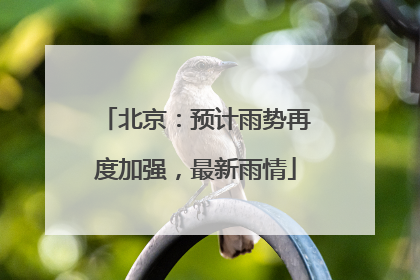 北京：预计雨势再度加强，最新雨情