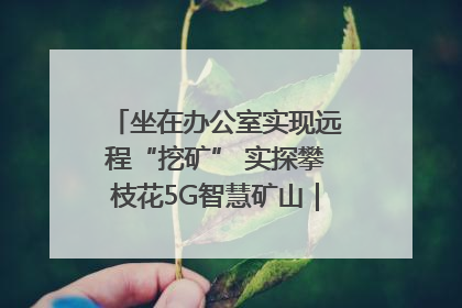 坐在办公室实现远程“挖矿” 实探攀枝花5G智慧矿山｜网络名人四川行
