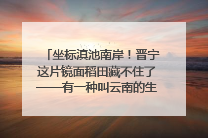 坐标滇池南岸！晋宁这片镜面稻田藏不住了——有一种叫云南的生活之365天