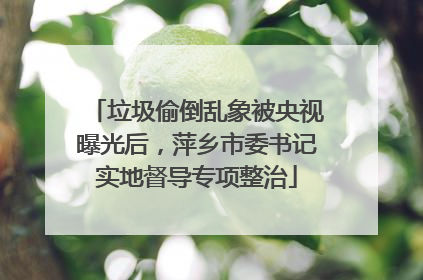 垃圾偷倒乱象被央视曝光后，萍乡市委书记实地督导专项整治