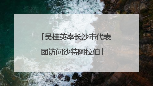 吴桂英率长沙市代表团访问沙特阿拉伯