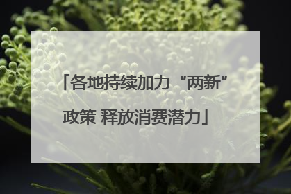 各地持续加力“两新”政策 释放消费潜力