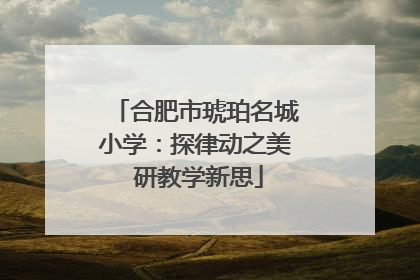 合肥市琥珀名城小学：探律动之美 研教学新思