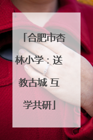 合肥市杏林小学：送教古城 互学共研