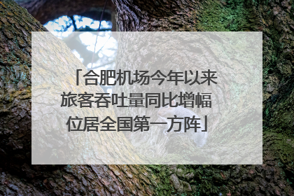 合肥机场今年以来旅客吞吐量同比增幅位居全国第一方阵