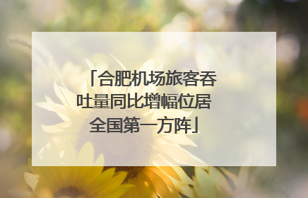 合肥机场旅客吞吐量同比增幅位居全国第一方阵