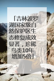 吉林波罗湖国家级自然保护区生态修复成效显著，珍稀鸟类10年增加5倍