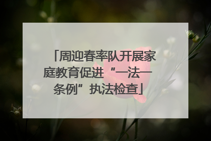 周迎春率队开展家庭教育促进“一法一条例”执法检查