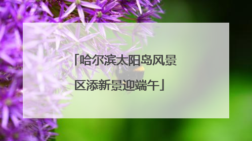 哈尔滨太阳岛风景区添新景迎端午