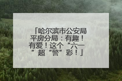 哈尔滨市公安局平房分局：有趣！有爱！这个“六一”超“警”彩！