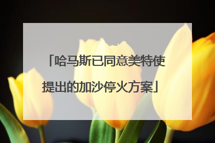 哈马斯已同意美特使提出的加沙停火方案