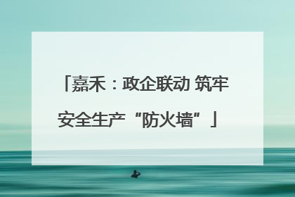 嘉禾：政企联动 筑牢安全生产“防火墙”