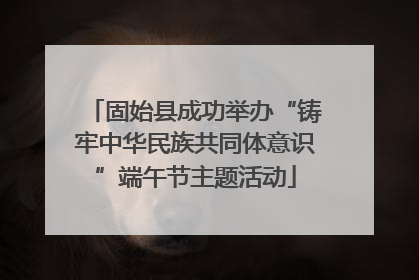 固始县成功举办“铸牢中华民族共同体意识”端午节主题活动