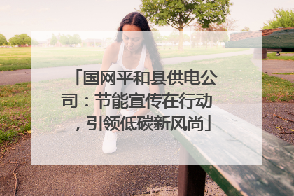 国网平和县供电公司：节能宣传在行动，引领低碳新风尚